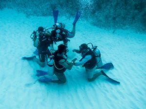 Certificación de Scuba Diver