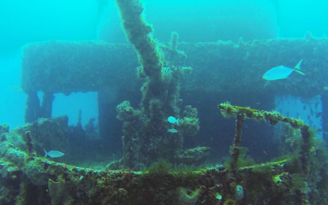 Buceo en Barco Hundido C-56 (Juan Escutia)