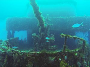 Buceo en Barco Hundido C-56 (Juan Escutia)